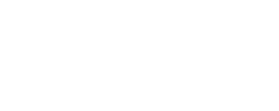 Local Circuit